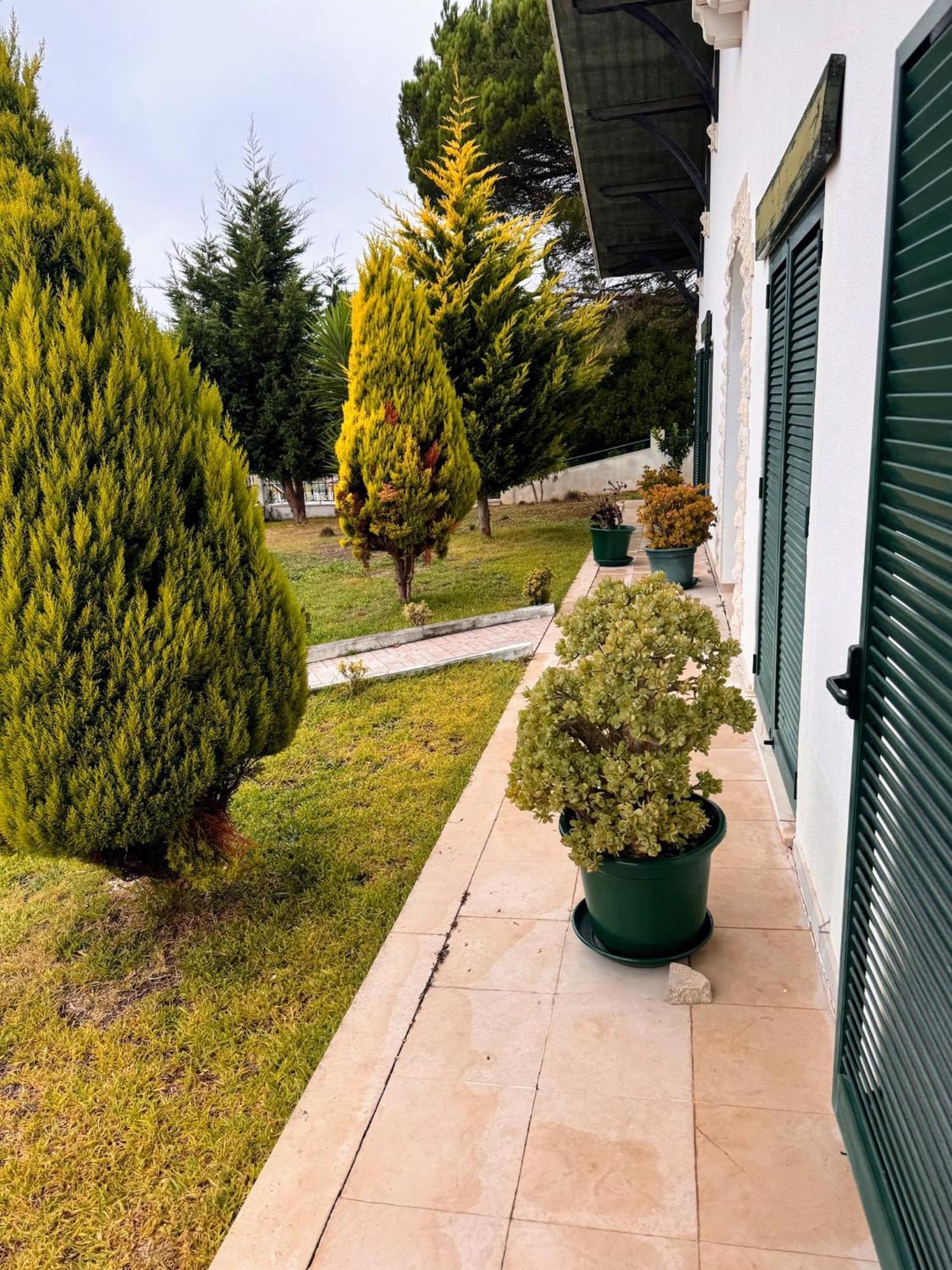 Leiria Side Otel Dış mekan fotoğraf